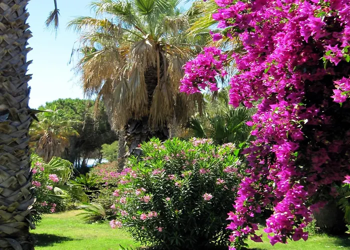 Costa Dei Fiori 4*